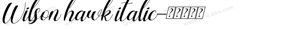 Wilson hawk italic字体转换